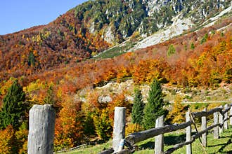a fence on the mountains among the colors of autumn