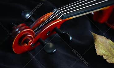 Violin classic string instrument