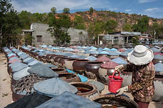 Vietnamese fish sauce factory. Coast, fishing.