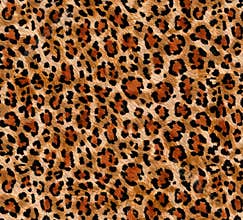 Seamless abstract pattern on a skin leopard texture, snake.