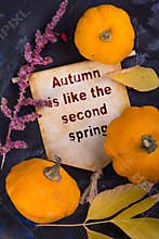 Autumn is like the second spring