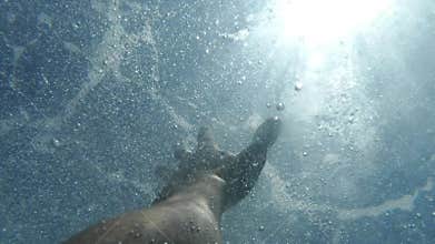 Man`s hand stretches underwater to surface of the sea. Arm asking for help in air bubbles and trying to survive. Point of view of