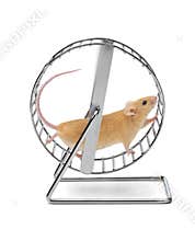 Mouse Hamster Exercise Wheel