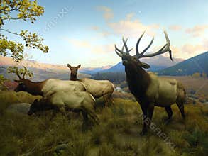 USA. New-York. American Museum of Natural History