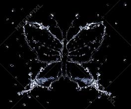 Splash Of Water Butterfly