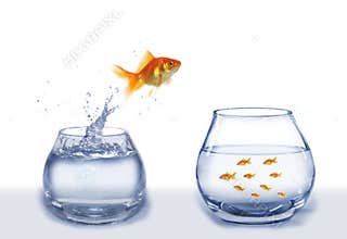 Jump to company