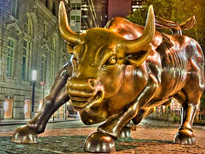 Wall Street Bull