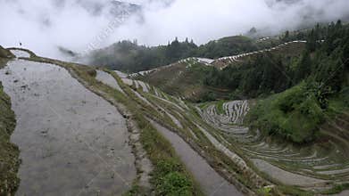 Valley of rice farming Ping an China