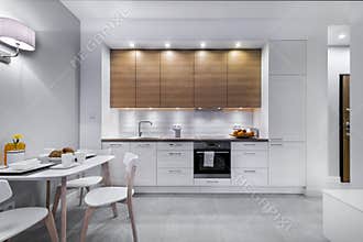 Modern kitchen interior design
