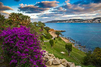 Il-Mellieha, Malta - Beautiful flowers and a sunset scene with Mellieha town, palm trees and colorful sky