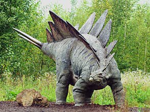 Stegosaurus