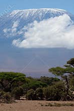 Mount Kilimanjaro