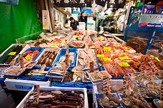 Tsukiji Fish Market Tokyo