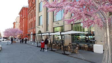 Moscow, Russia - April 14. 2018. new square decorated with trees blooming for festival Easter gift
