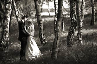 Kissing Wedding Couple