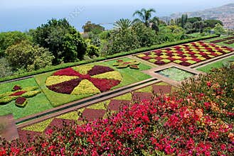 The botanical garden of Funchal in Madeira