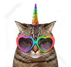 Cat unicorn in glasses