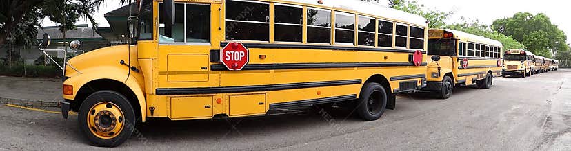 Panoramic view of school buses