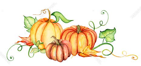 Watercolor pumpkin and autumn leaves. Harvest composition. Happy Thanksgiving day. Hand drawn illustration