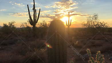Scottsdale Arizona desert sunset