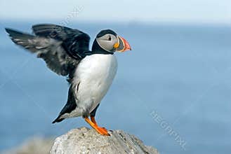 Ready for take off - Machias Island