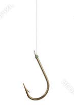 Fish Hook