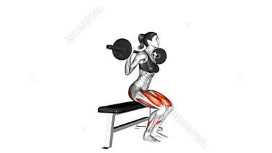 Barbell bench squat exercise