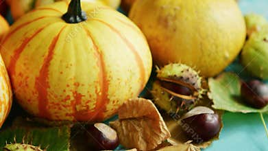 Yellow pumpkins laid with chestnut