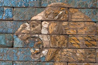 Lion Darius king of Persia palace bas relief