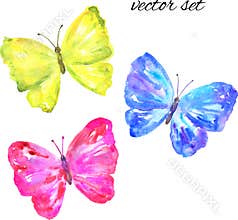 Colorful vector butterflies: yellow, pink, blue. Hand drawn watercolor illustration. Isolated on white background.