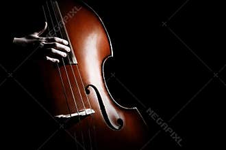 Double bass. Hand playing contrabass player