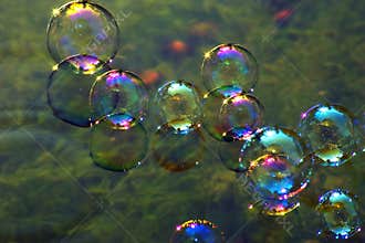 Soap bubbles on water
