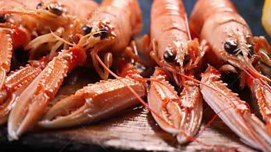 Fresh seafood huge sea shrimps