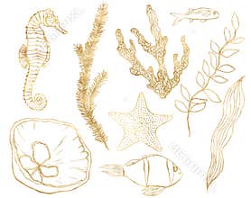 Watercolor tropical set of gold seahorse, shell, fish, coral and laminaria. Underwater linear plants and animals