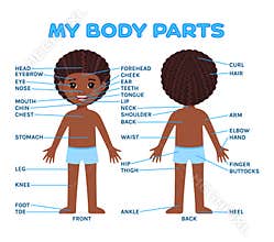 Afro Boy and Parts of My Body with English Words. Front Back View. Poster for a Biology, Anatomy Lesson to Print. Illustration for