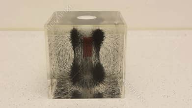 Magnet with iron dust in a cube