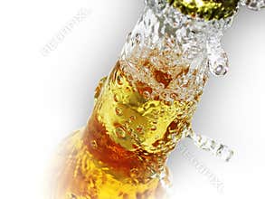 Bottle of beer