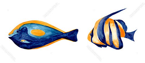 Set of watercolor illustrations of fish on a white background.