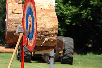 Tree Stump Target with Axe