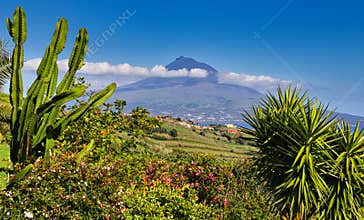 Island Pico with Volcano Mount Pico, Azores