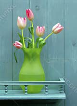 Pink tulips on blue