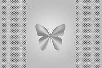 Silver butterfly laptop cover