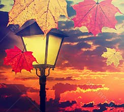 Colorful maple leaves fall against vintage street lamp lighting and magic sunset sky. Autumn season