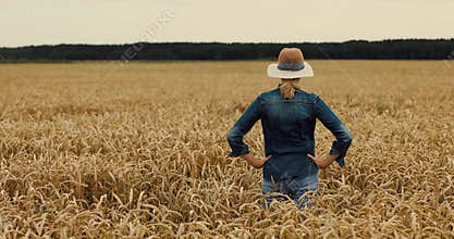 Cereal farming. farmer standing and looking to a crops field. back view