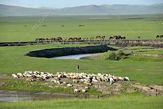 Mergel Golden Horde Khan Mongol tribes riverside grassland sheep, horses, cattle