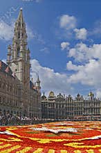 Flower Carpet in Brussels