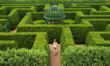Hedge Maze A