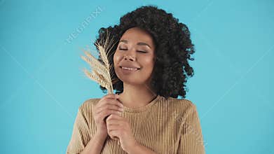 A woman poses for the camera holding ears of wheat in her hands. Smiling black woman stands on a blue background with