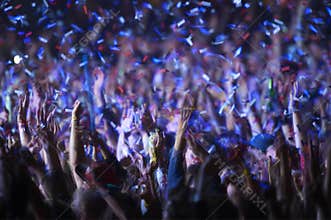 Audience at a music festival