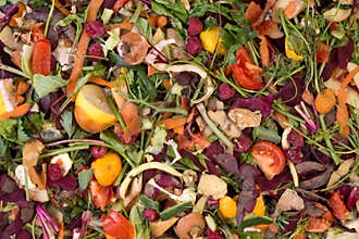 Pile of natural waste